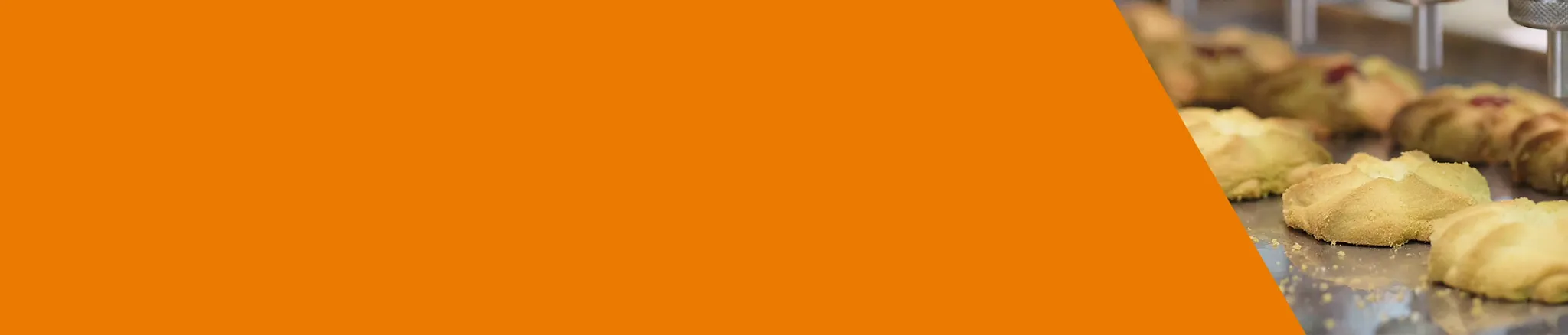 <font size="7">For biscuits</font><br> Automatic moulding machine</font>