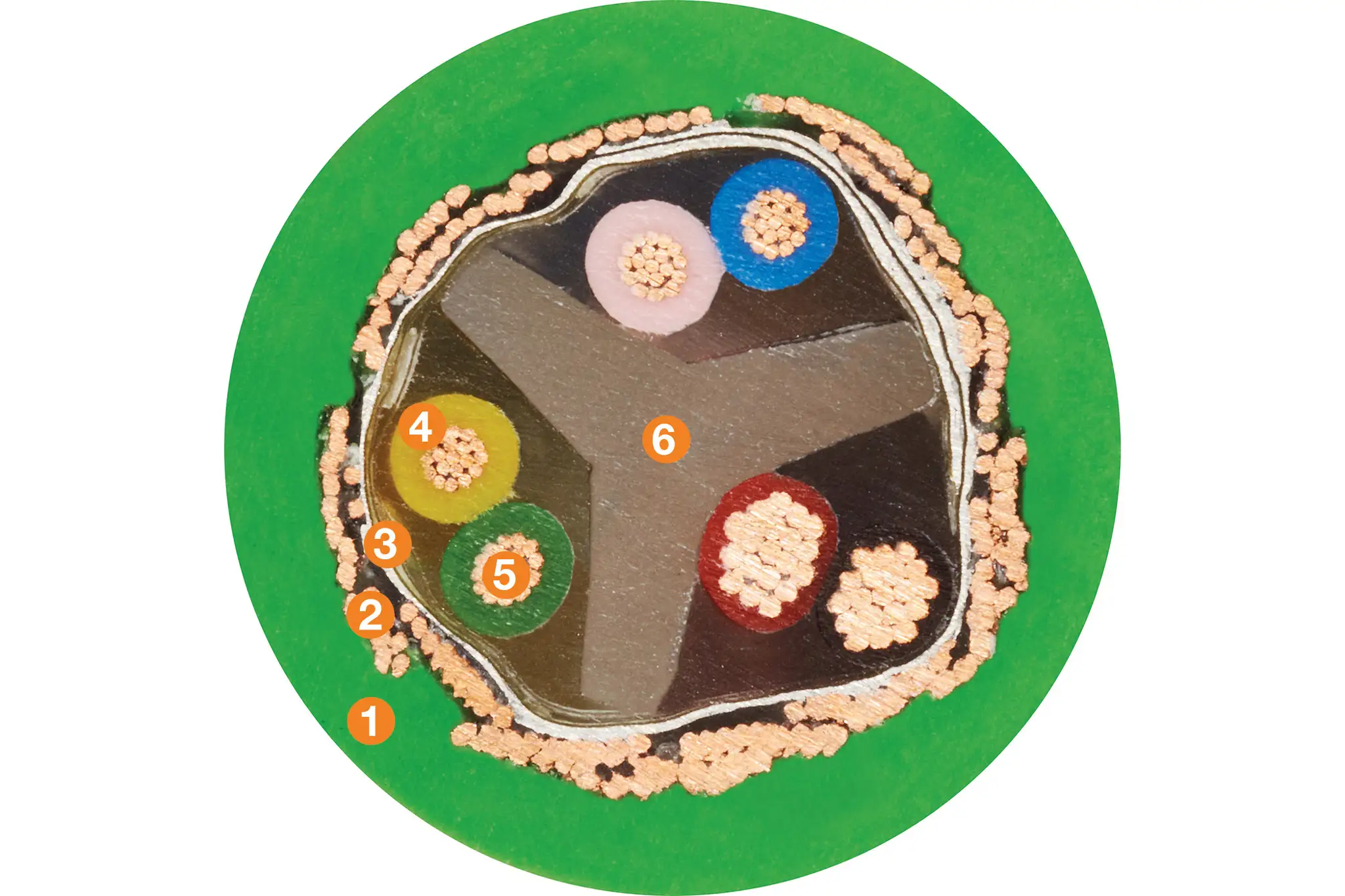 1. Außenmantel: Mit Druck extrudierte, ölbeständige PVCMischung 2. Gesamtschirm: Extrem biegebeständiges Geflecht aus verzinnten Kupferdrähten 3. Bandierung: Kunststofffolie 4. Aderisolation: Mechanisch hochwertige TPE-Mischung 5. Leiter: Feinstdrähtiger Sonderleiter in hoch biegefester Ausführung aus verzinnten Kupferdrähten. 6. Zugentlastung: Zugfestes Kernelement