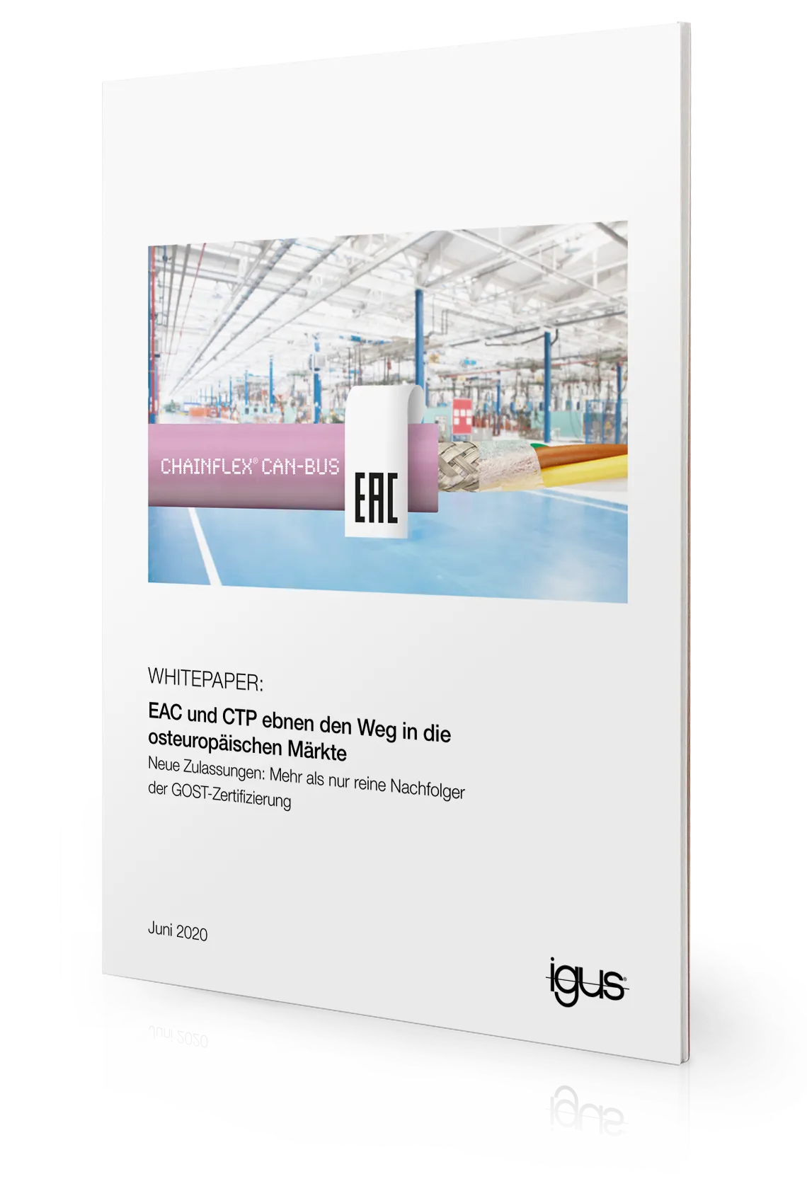 Opracowanie techniczne EAC