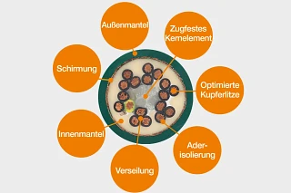 7 Gründe