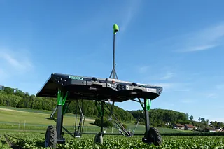 Removedor de ervas daninhas Ecorobotix