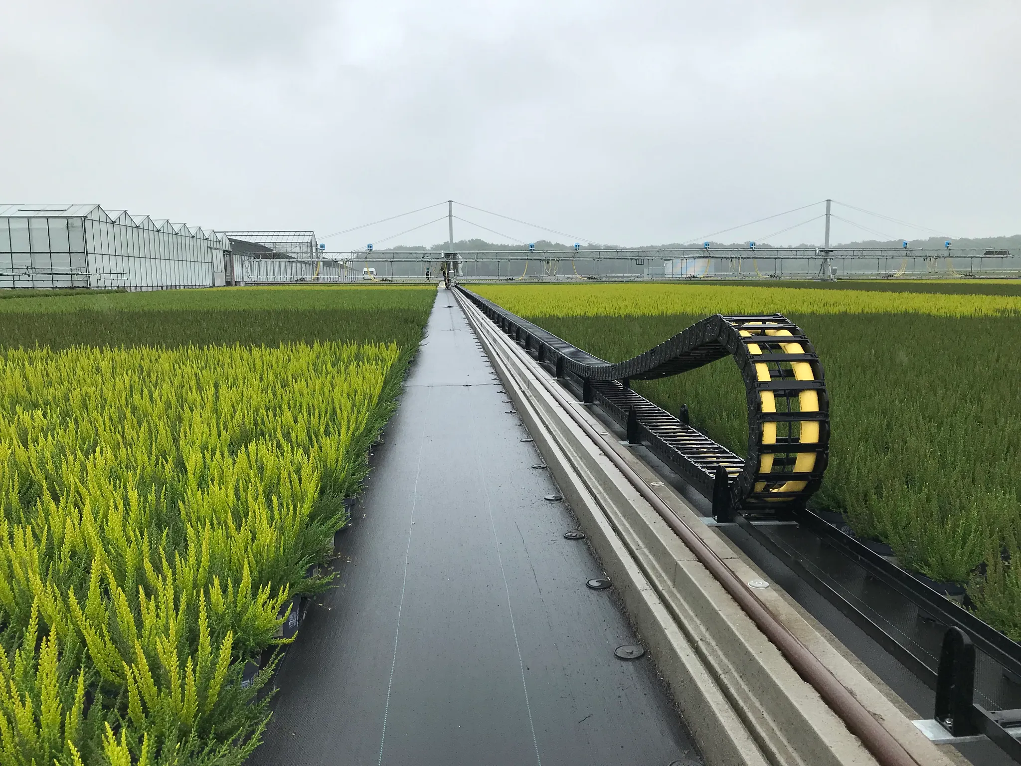 e-chain at Dercks Gartenbau