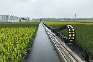 Esteiras porta cabos em Dercks Gartenbau
