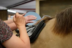 injection moulded horse saddle