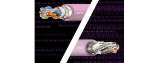 Seminarium online CF