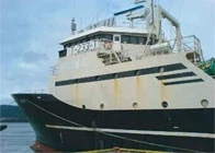 Kedjor för transportörer