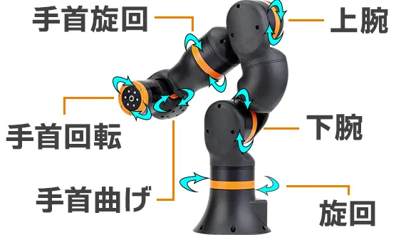 JP_PIC_LCA_structure_ReBeL