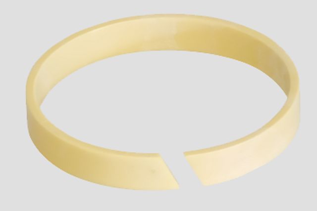 iglidur guide rings