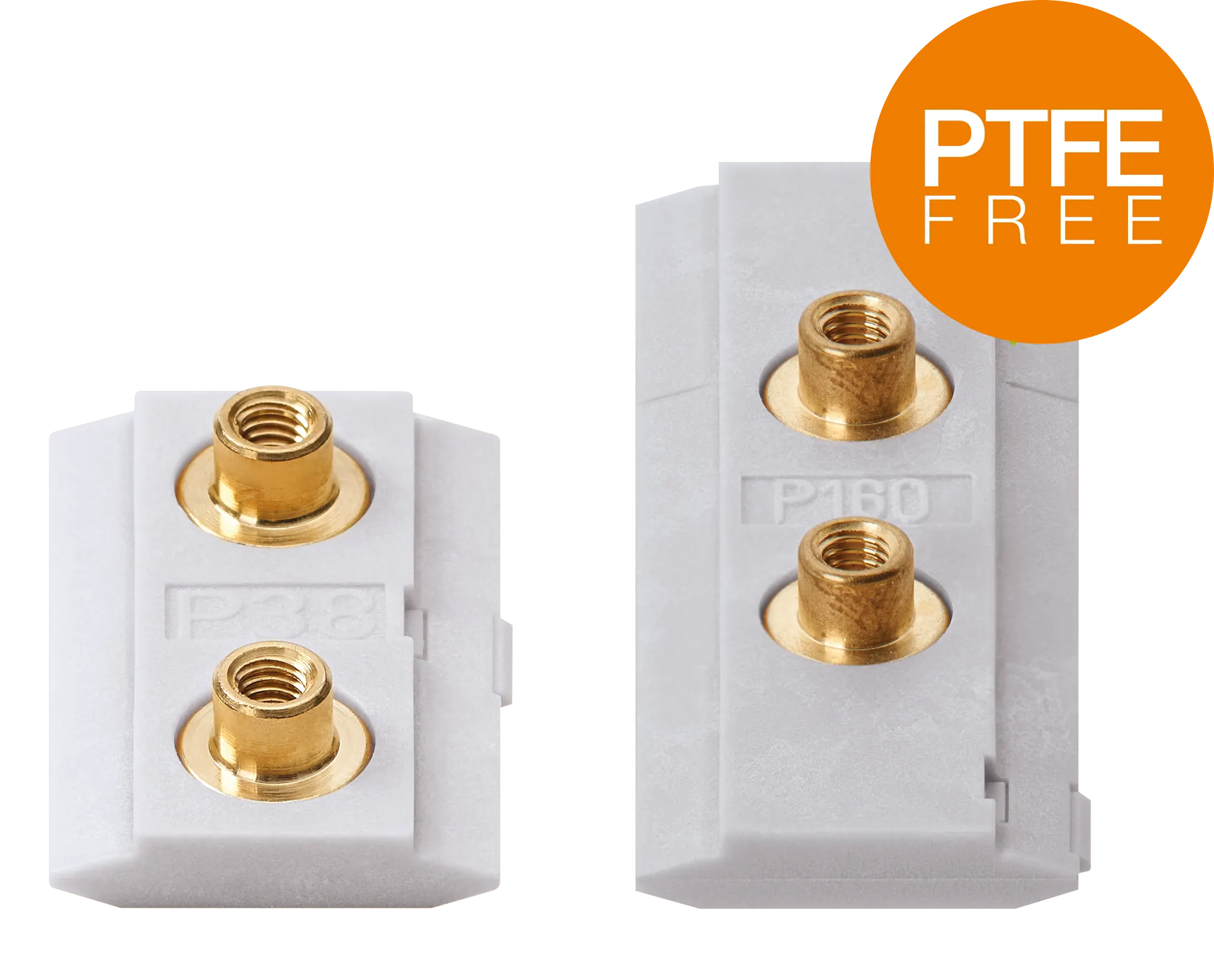 NWV_prism_slides_news_2024