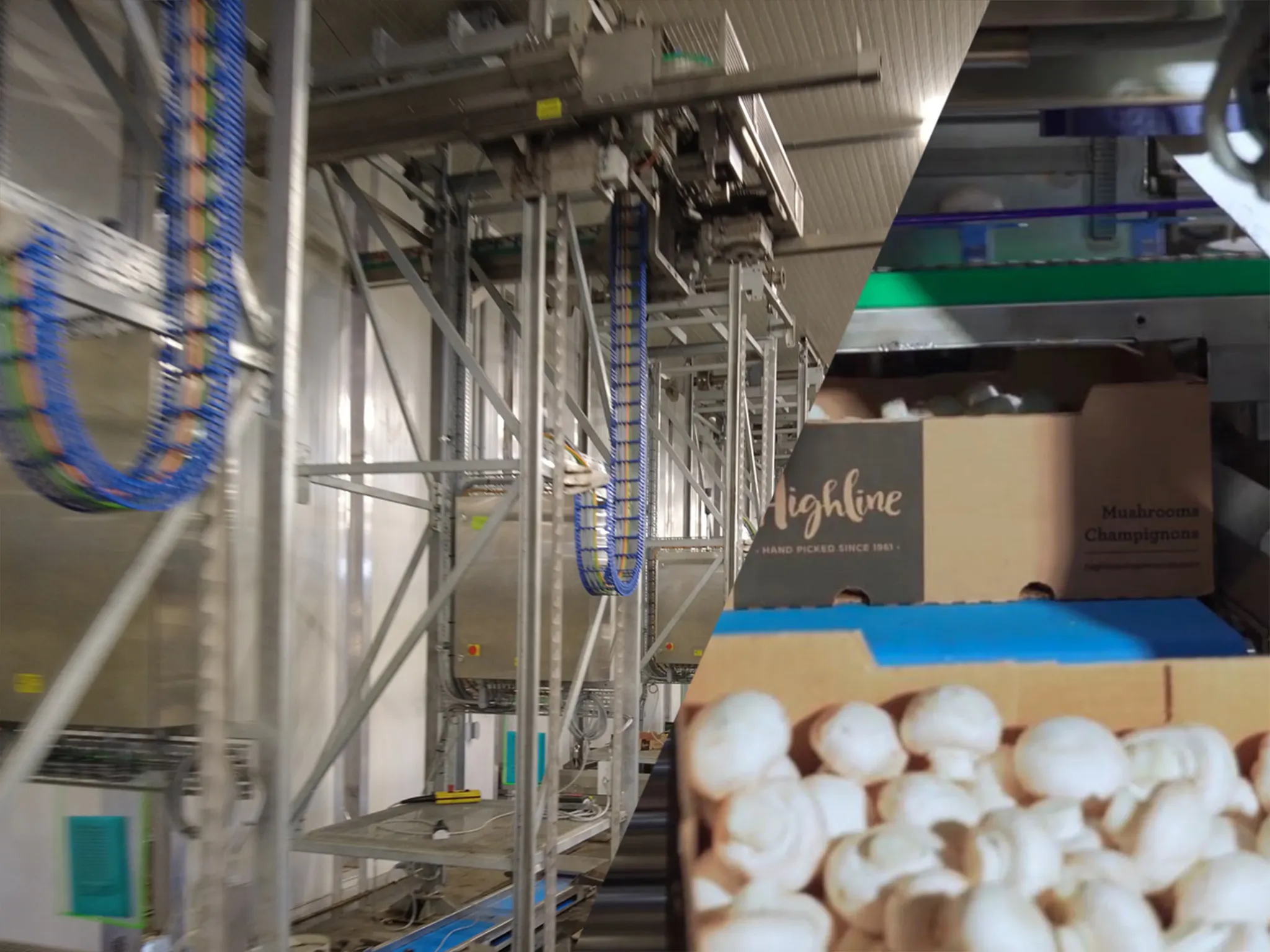 Cadena portacables TH3 en un sistema de recolección de setas