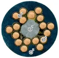 cabo de controlo não blindado