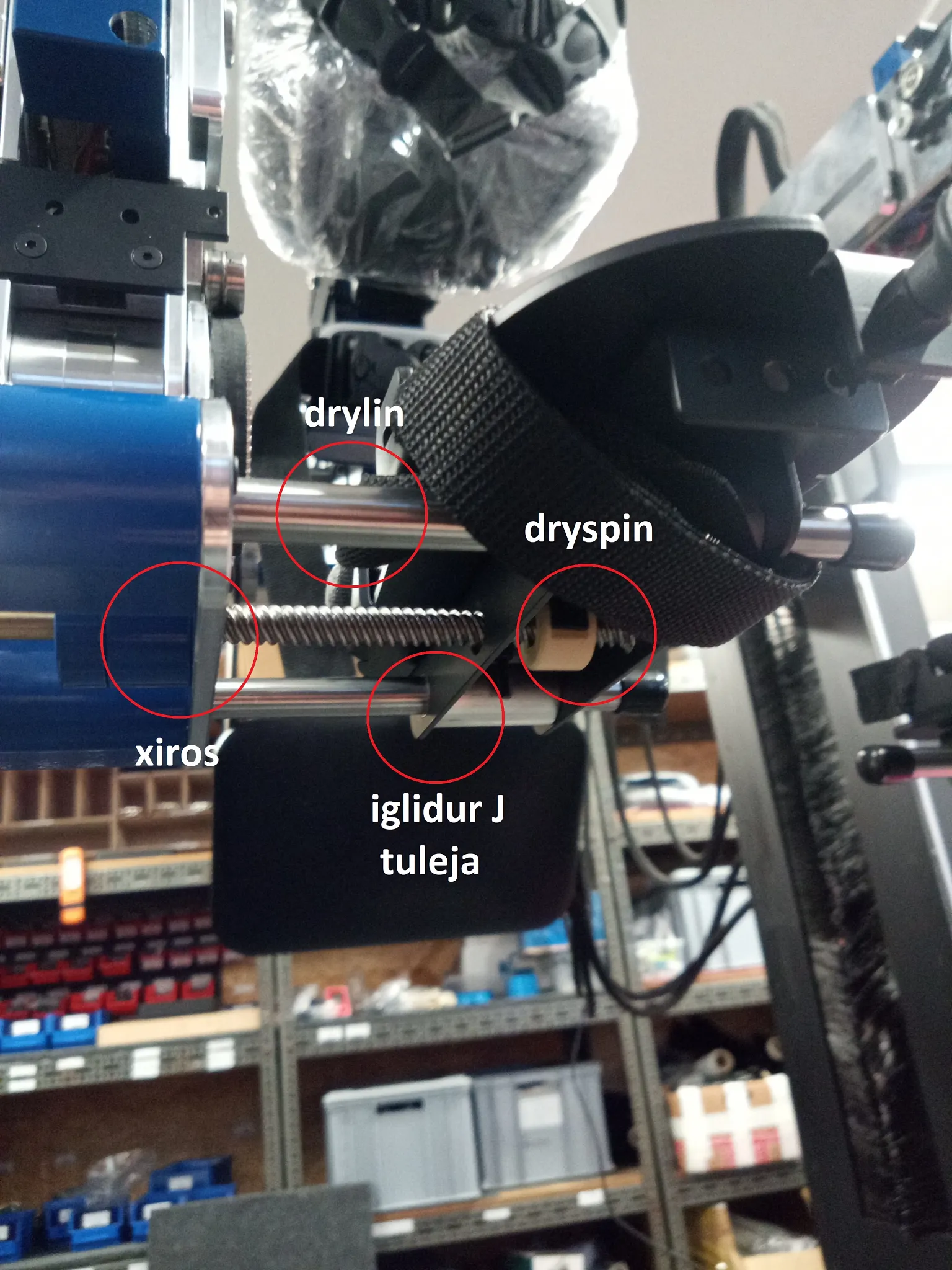 Rehabilitation device