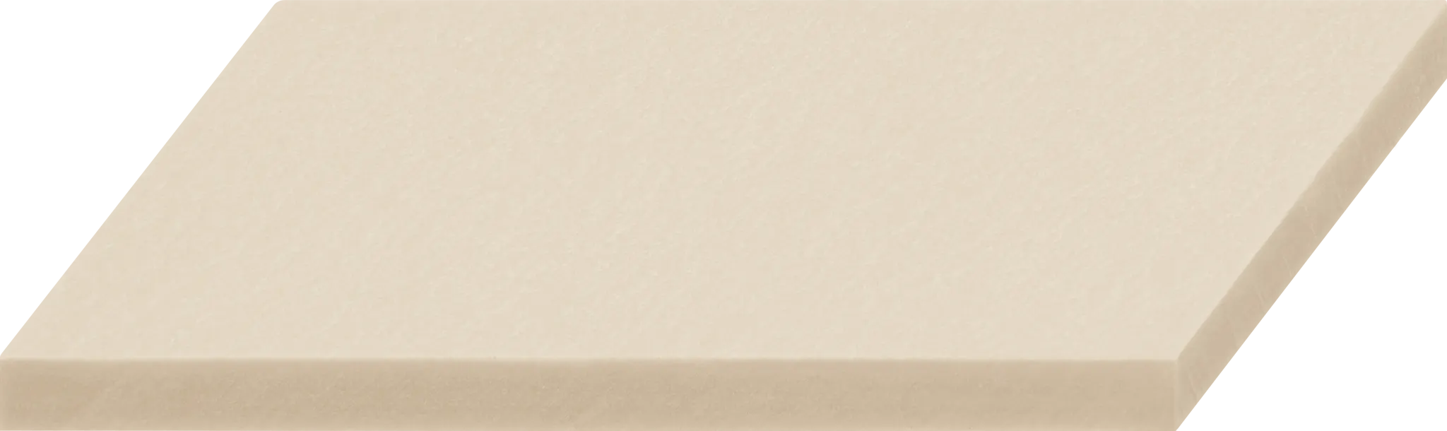 iglidur W300