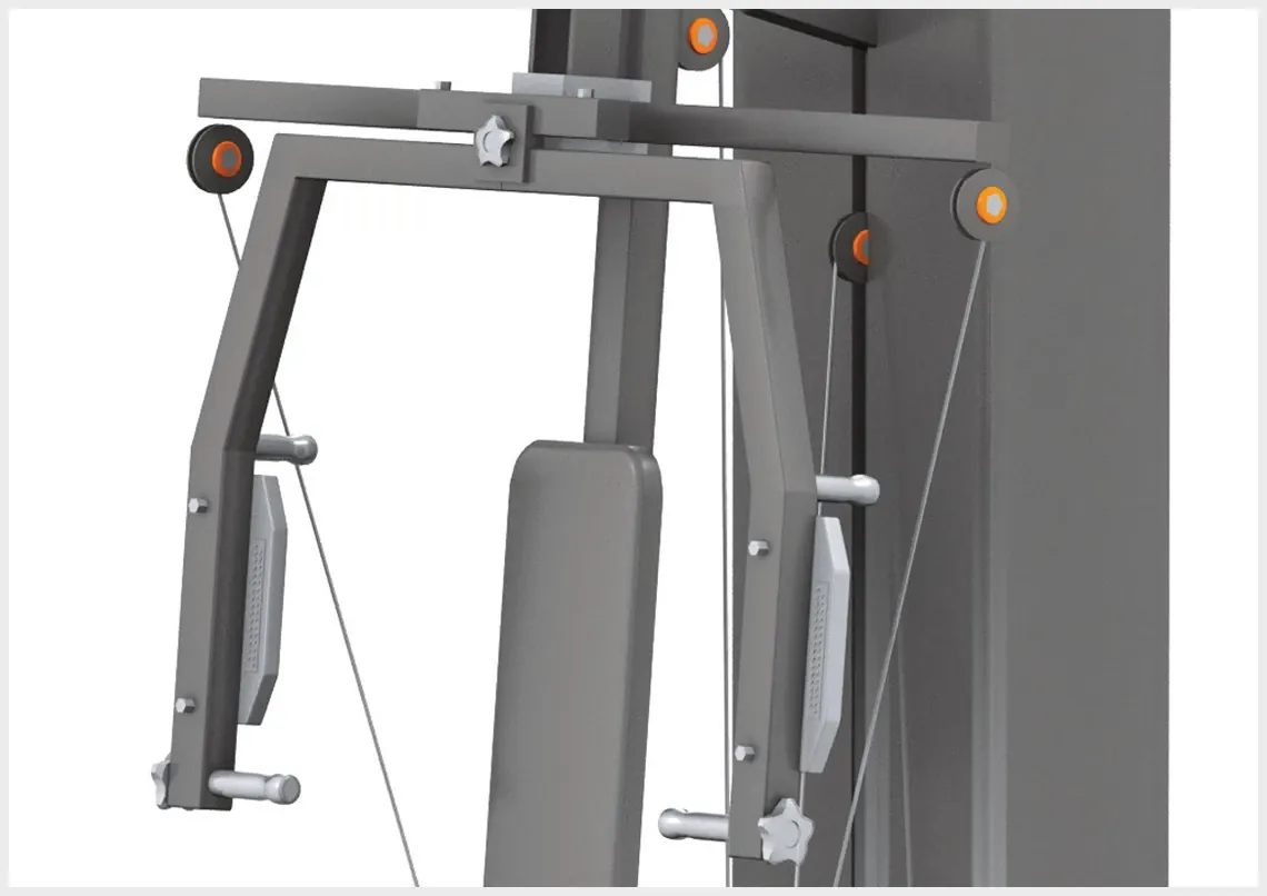 蝴蝶和拉提肌拉塔