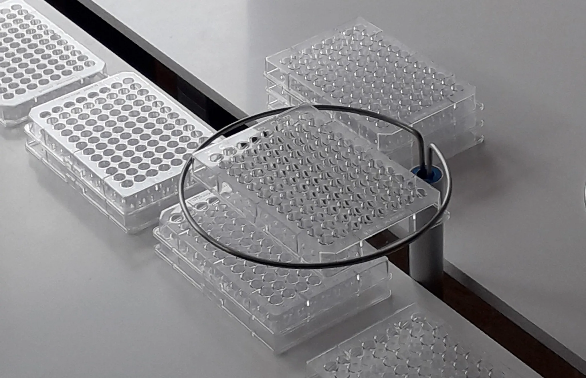 適用於實驗室應用的低成本夾持器