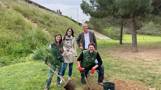 Tree planting campaign in Spain