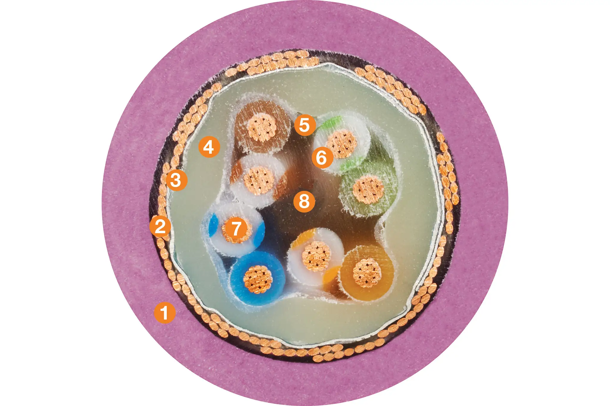 1. Outer jacket: pressure-extruded, flame-retardant TPE mixture 2. Overall shield: extremely flexible braiding consisting of tinned copper wires 3. Shield film: aluminium-coated plastic foil 4. Inner jacket: pressure-extruded, gusset-filling TPE mixture 5. Banding: plastic fleece 6. Core insulation: mechanically high-quality TPE mixture (according to the bus specification) 7. Conductor: fine-wire strands in highly flexible design made of bare copper wires 8. Strain relief: high tensile strength centre element