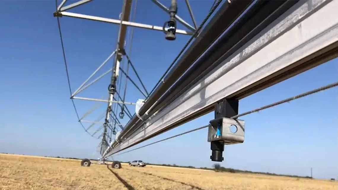 Hummingbird (beija-flor)