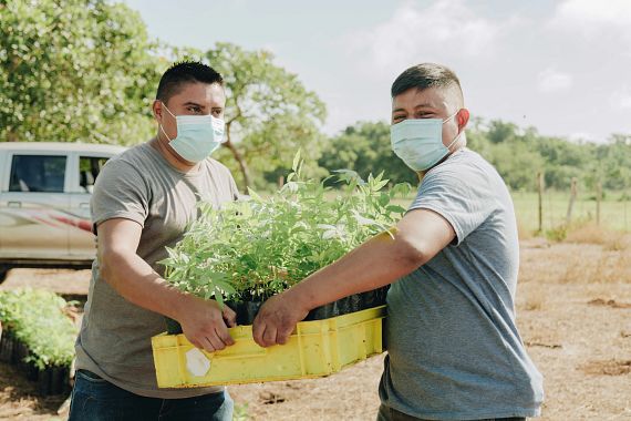 Farmáři předávající sazeničky stromů v Guatemale