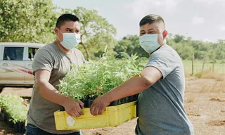 Tree donation from igus® Italy in Guatemala