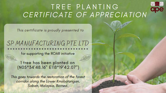 Zertifikat zur Baumpflanzung