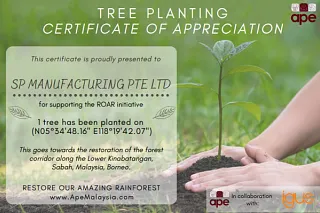 Certificate for tree planting in Borneo