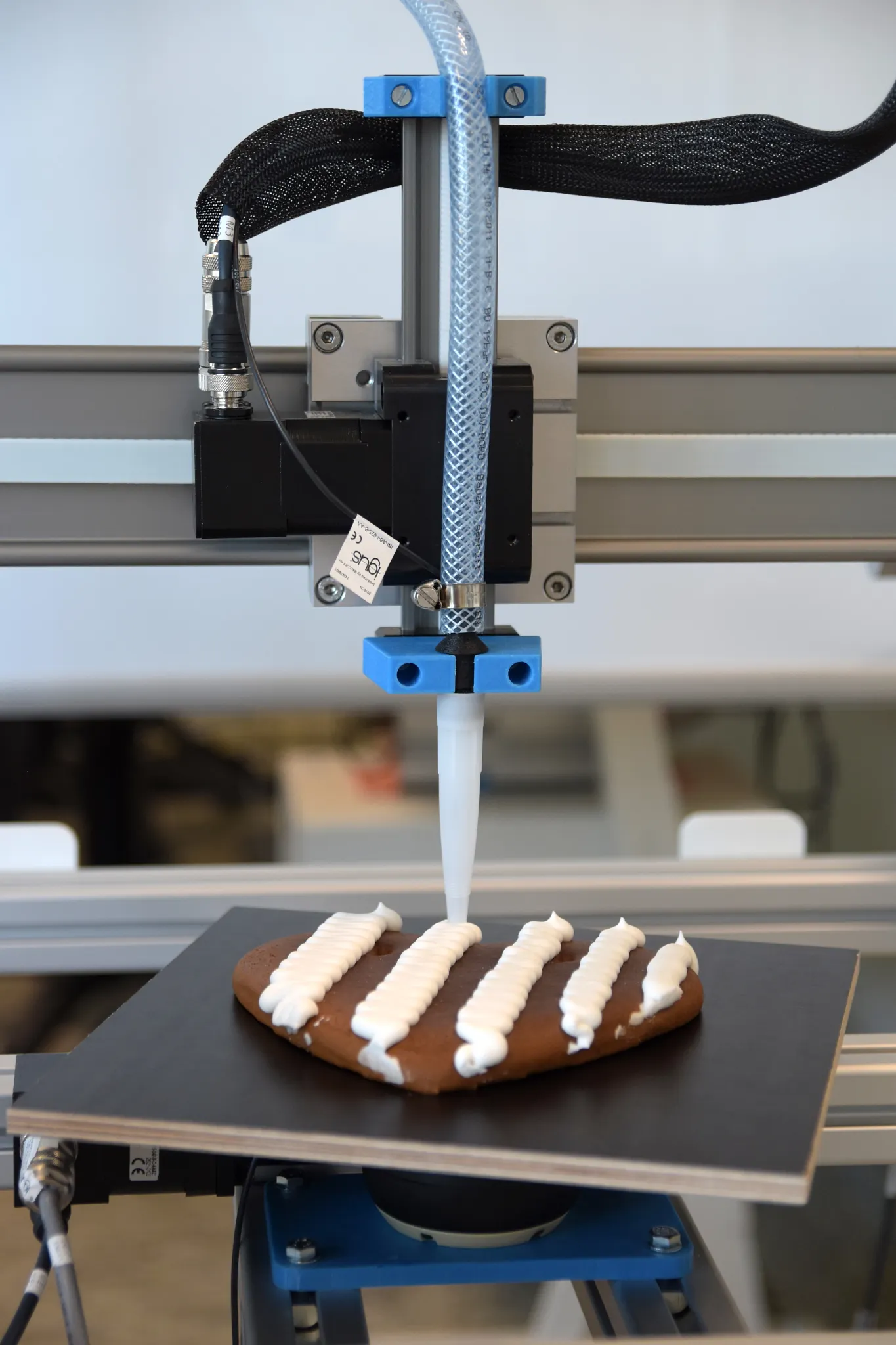 Lebkuchenmaschine SPS