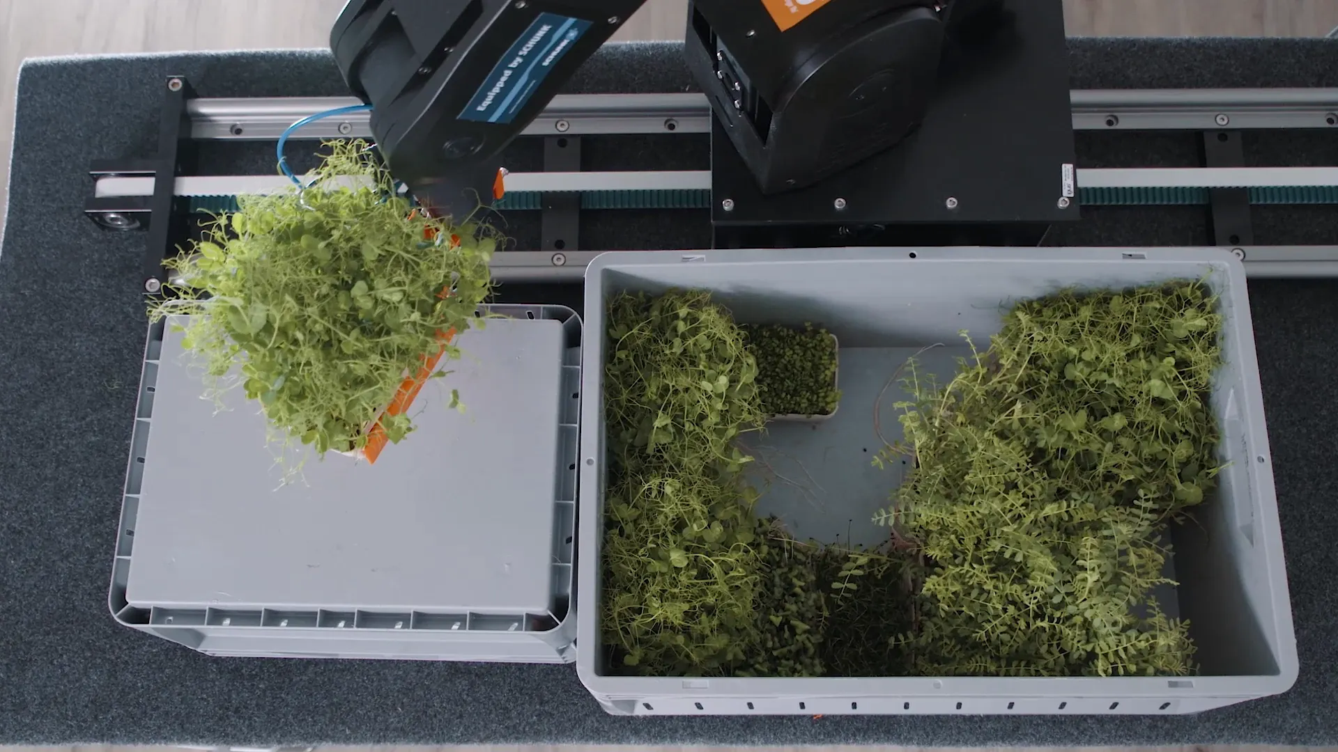 lca-gluing-and-dosing-application-farmionic-II