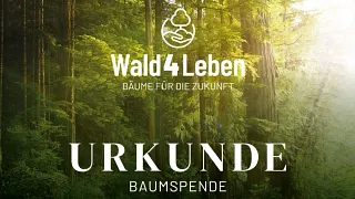 Certificate for the tree donation from Wald4Leben