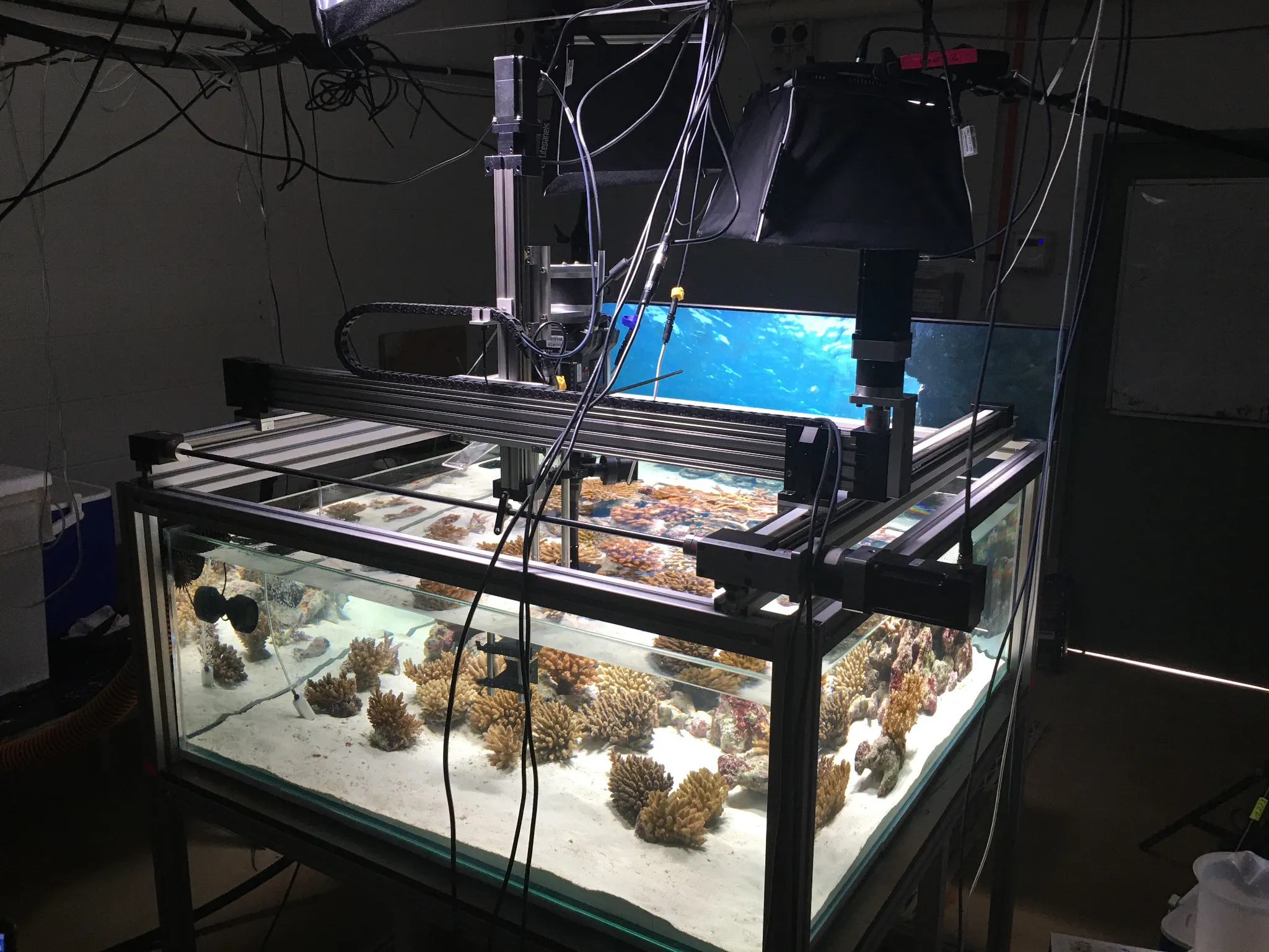 Modular camera system for underwater photography