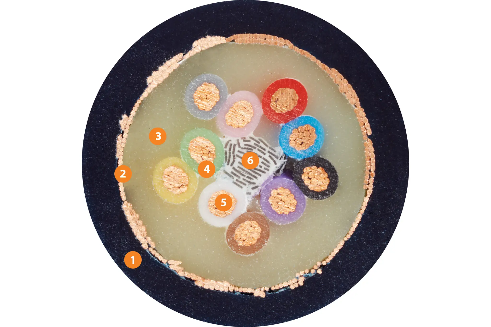 1. Außenmantel: Mit Druck extrudierte, halogenfreie TPEMischung<br />2. Gesamtschirm: Extrem biegefestes Geflecht aus verzinnten Kupferdrähten.<br />3. Innenmantel: Mit Druck extrudierte, zwickelfüllende TPEMischung<br />4. Aderisolation: Mechanisch hochwertige TPE-Mischung<br />5. Leiter: Feindrahtige Litze in besonders biegebeständiger Ausführung aus blanken Kupferdrähten<br />6. Zugentlastung: Zugfestes Kernelement